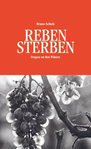 REBENSTERBEN: Fragen an den Winzer.