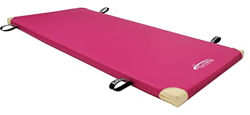 Turnmatte 200 x 100 x 6 cm – mit Lederecken oder Tragschlaufen – RG 120, RG 80 oder RG 35 – rutschfester Bezug – für Schule, Verein, Kindergarten – Made in Germany (Pink + LE+TS, RG 120)