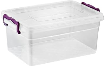 Best House | 600ml - 2 PCS Clear Plastic Storage Box Container with Lids | Small Size | Storage Containers For Bits N Pcs (600 ml)