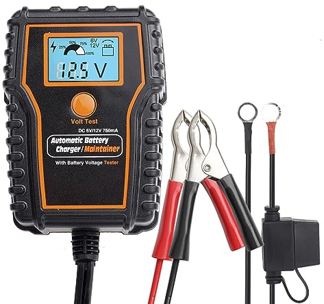 Chargeur de batterie 6 V 12 V 0,75 A