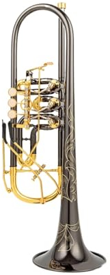 RAWARS Trompeten für Anfänger Bb-Trompete Drehventil Typ B Flacher Messing-Flachschlüssel Professionelle Trompetenmusikinstrumente