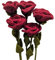 your castle Filzblumen-Strauß aus 5 roten Rosen, fairer Handel, nachhaltige Filz Deko, realistische Kunstblumen, Stoffblumen, Filzblumen-Set