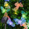 Solar Lichterkette Aussen 5M 20 LED Schmetterlingen Bunt Lichterkette Outdoor, Wasserdichte Schmetterling Lichterketten 8 Modi Solar Deko für Garten Gazebo Terrasse Balkon Dekoration Bäume Hochzeiten