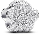 Pandora Charm for Women Sterling Silver 925 794043C00