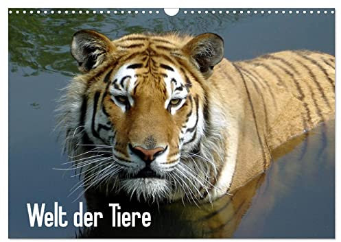 Welt der Tiere (Wandkalender 2025 DIN A3 quer), CALVENDO Monatskalender