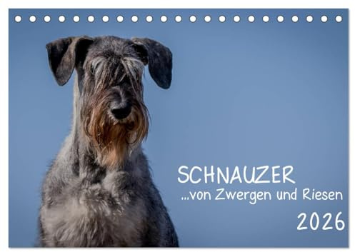 Schnauzer... von Zwergen und Riesen 2026 (Tischkalender 2026 DIN A5 quer), CALVENDO Monatskalender: Schnauzer in viele Varianten und Größen (CALVENDO Tiere)