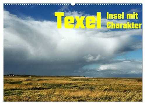 Texel Insel mit Charakter (Wandkalender 2026 DIN A2 quer), CALVENDO Monatskalender: Vom Schneesturm bis Sommerhitze, Texel bietet jedem was (CALVENDO Natur)