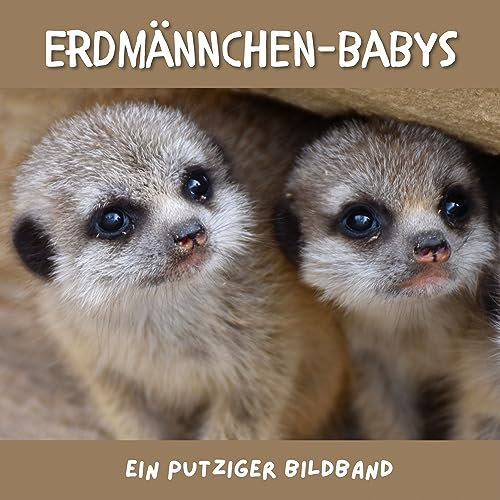 Erdmännchen-Babys: Ein putziger Bildband