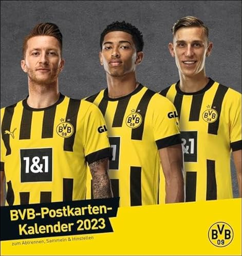 BVB Postkartenkalender 2023. Kleiner Kalender für große Fans: Die Stars von Borussia Dortmund in einem Tischkalender zum Aufstellen. Jeden Monat eine Spieler-Postkarte.