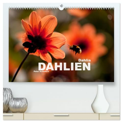 Dahlia - Dahlien (hochwertiger Premium Wandkalender 2025 DIN A2 quer), Kunstdruck in Hochglanz