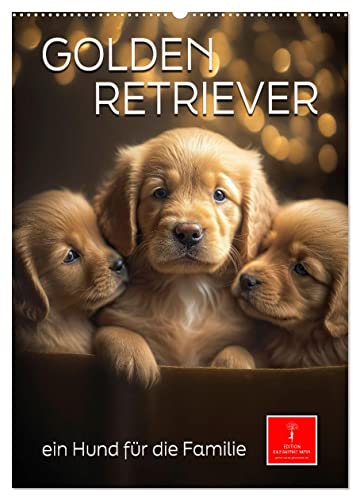 Golden Retriever - ein Hund für die Familie (Wandkalender 2025 DIN A2 hoch), CALVENDO Monatskalender