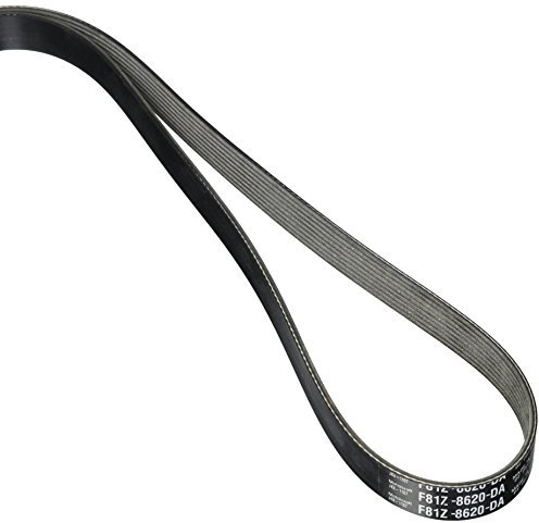 Motorcraft JK81107