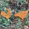 Edelrost Deko Hahn und Henne Gartenstecker Tierfiguren in Naturrost Blumenstecker