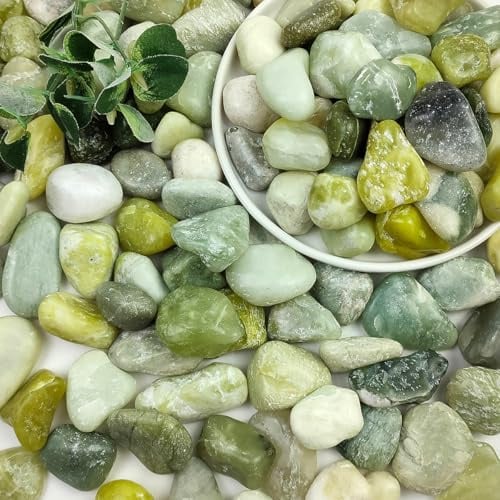 SHIZWU 2,3 kg saftige Jade-Steine für Zimmerpflanzen, natürliche Trommelsteine 1,8 bis 3,1 cm, dekorative Flusssteine für Sukkulenten, Vasen, Blumentöpfe, Landschaftsbau