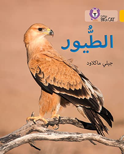 Collins Big Cat Arabic – Birds: Level 9 (English and Arabic Edition)