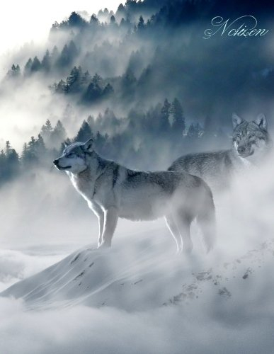 Fantasy Notizbuch: Wölfe im Nebel - weiße Seiten mit Eckmotiv