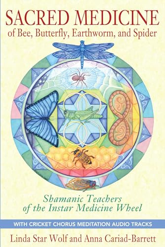 Sacred Medicine of Bee, Butterfly, Earthworm, and Spider: Unexpected Teachers of the Instar Medicine Wheel: Shamanic Teachers of the Instar Medicine Wheel