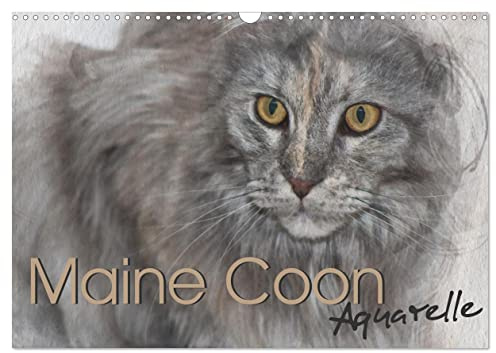 Maine Coon Aquarelle (Wandkalender 2026 DIN A3 quer), CALVENDO Monatskalender: Kunstvolle Portraits der begehrten Katzenrasse Maine Coon (CALVENDO Tiere)