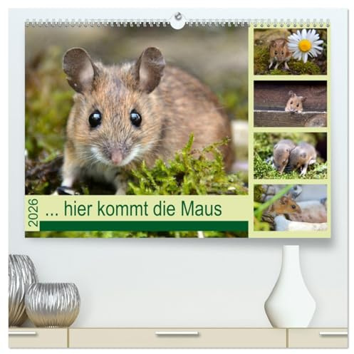 ... hier kommt die Maus ... (hochwertiger Premium Wandkalender 2026 DIN A2 quer), Kunstdruck in Hochglanz: Zauberhafte Bilder einer kleinen Maus (CALVENDO Tiere)