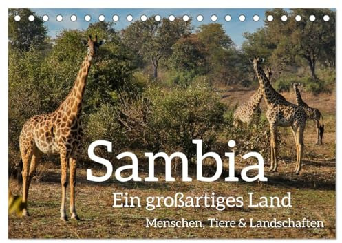 Sambia - ein großartiges Land (Tischkalender 2026 DIN A5 quer), CALVENDO Monatskalender: Sambia ist ein großartiges, touristisch noch wenig ... Tieren und Landschaften. (CALVENDO Orte)