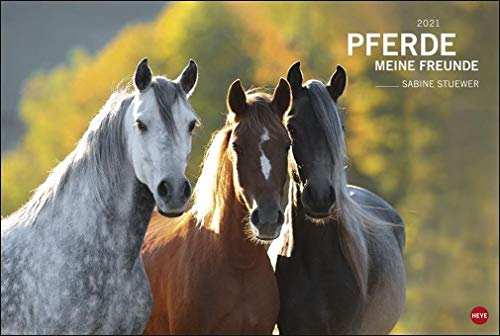 Pferde - Meine Freunde Wandkalender 2021 von Sabine Stuewer - Pferdekalender mit Monatskalendarium - Format 58 x 39 cm