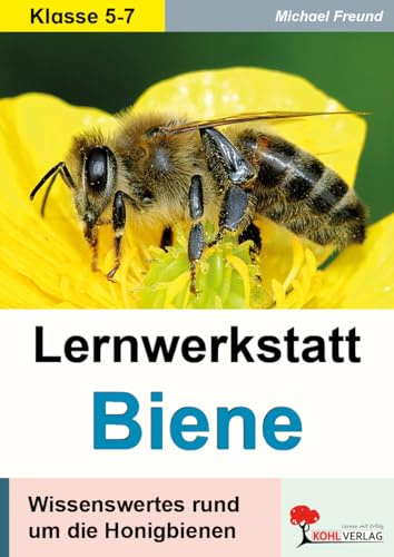 Lernwerkstatt Biene Biologie Sekundarstufe Klasse 5 6 7 | Honigbienen Bienenstaat Körperbau Bienensterben Insekten fächerübergreifend Deutsch ... Wissenswertes rund um die Honigbienen