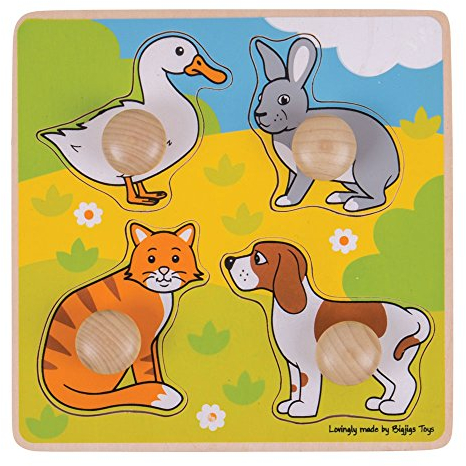 Bigjigs Toys BJ224 My First Peg Puzzle (Pets), multicoloured