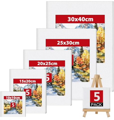Atliberswo Lot De 5 Toile A Peindre, Encadrement Toile, 100% Coton Toile Peinture, Toiles De Peinture Acrylique Pour Artistes, Amateurs, DéButants Et Enfants Pour Acrylique, Aquarelle