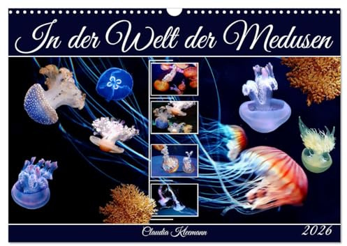 In der Welt der Medusen (Wandkalender 2026 DIN A3 quer), CALVENDO Monatskalender: Bizarre, grazile Wesen in allen Meeren der Welt (CALVENDO Tiere)