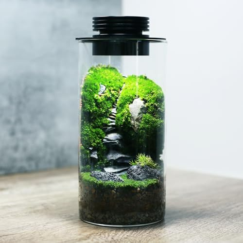 Desktop Glass Plant Terrarium with Grow Light for Carnivorous Plants & Moss