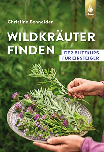 Wildkräuter finden: Der Blitzkurs für Einsteiger (Finden-Reihe)