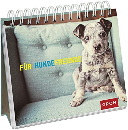 Für Hundefreunde: Spiralaufsteller