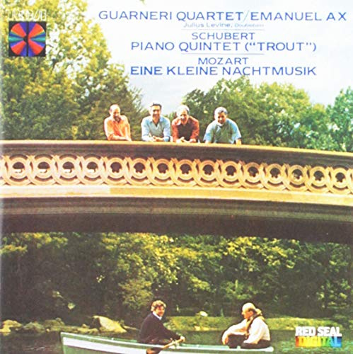 Eine Kleine Nachtmusik