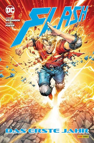 Flash: Das erste Jahr