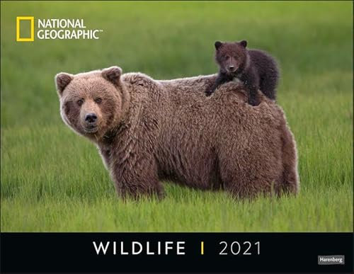 Wildlife Posterkalender National Geographic Kalender 2021
