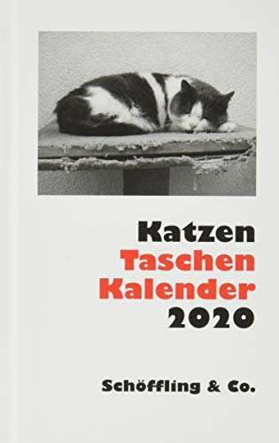Katzen Taschenkalender 2020