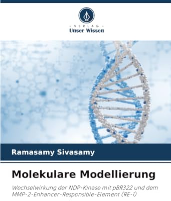 Molekulare Modellierung: Wechselwirkung der NDP-Kinase mit pBR322 und dem MMP-2-Enhancer-Responsible-Element (RE-1)
