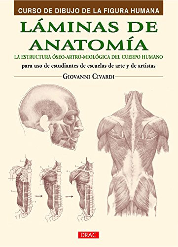 Curso De Dibujo De La Figura Humana. Láminas De Anatomía: La estructura óseo-artro-miológica del cuerpo humano (CURSO DIBUJO DE LA FIGURA HUMANA)
