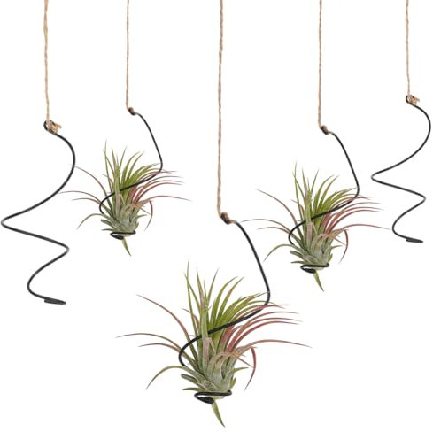OLYCRAFT Espositore per piante da appendere a spirale, con corde di iuta, 20 pezzi, colore nero, supporto per piante grasse, supporto da parete per piccole piante, decorazione per casa, ufficio