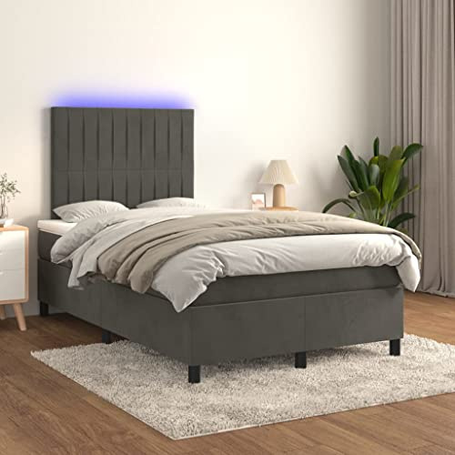 Frdhee Schlafsofa Futonbett, Boxspringbett mit Matratze & LED Dunkelgrau 120x200 cm Samt für Schlafzimmer Gästezimmer