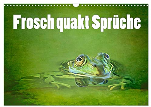 Frosch quakt Sprüche (Wandkalender 2026 DIN A3 quer), CALVENDO Monatskalender: Humor mit Fröschen (CALVENDO Spass)