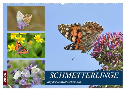 Schmetterlinge auf der Schwäbischen Alb (Wandkalender 2026 DIN A2 quer), CALVENDO Monatskalender: Wunderschöne Falter auf herrlichen Blüten (CALVENDO Tiere)