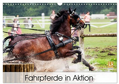 Fahrpferde in Aktion (Wandkalender 2026 DIN A3 quer), CALVENDO Monatskalender: Fahrpferde im Trainingsgelände mit verschiedenen Fahr-Hindernissen. (CALVENDO Tiere)