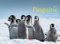 Pinguine Kalender 2021