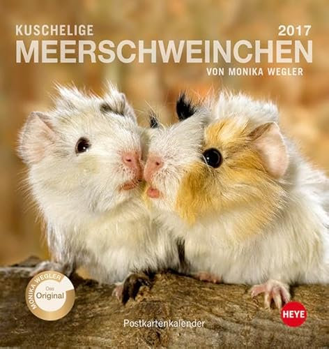 Meerschweinchen Postkartenkalender - Kalender 2017