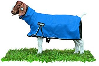 Weaver Leather Livestock ProCool Mesh Goat Blanket with Reflective Piping