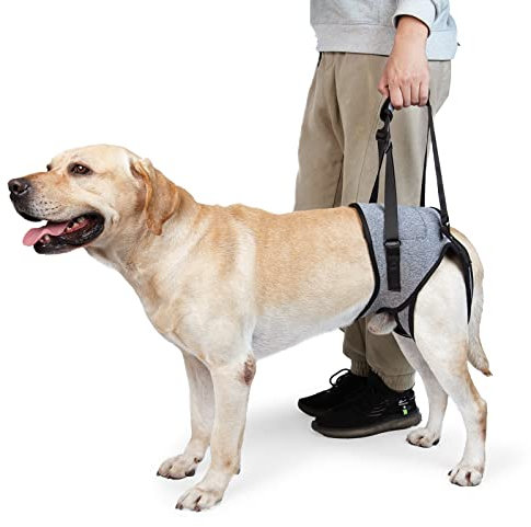Dotoner Imbracatura per cani di sollevamento, imbracatura per cani per zampe posteriori, imbracatura morbida per cani disabili feriti di taglia piccola, media grande (S, grigio)