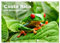 Costa Rica - das Naturparadies (Wandkalender 2025 DIN A2 quer), CALVENDO Monatskalender