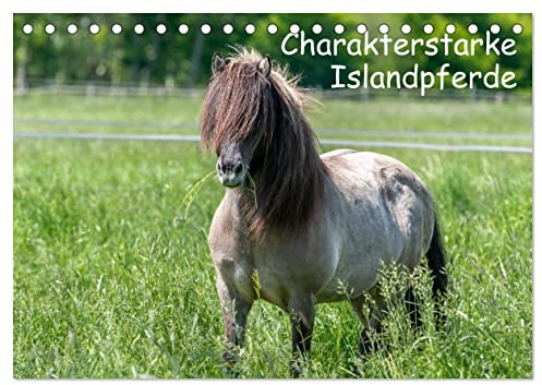 Charakterstarke Islandpferde (Tischkalender 2026 DIN A5 quer), CALVENDO Monatskalender: Isländer begeistern durch ihre ausdrucksvolle Kommunikation ... Pferdefreunde in ihren Bann. (CALVENDO Tiere)