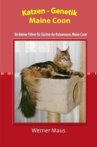 Katzen-Genetik Maine-Coon